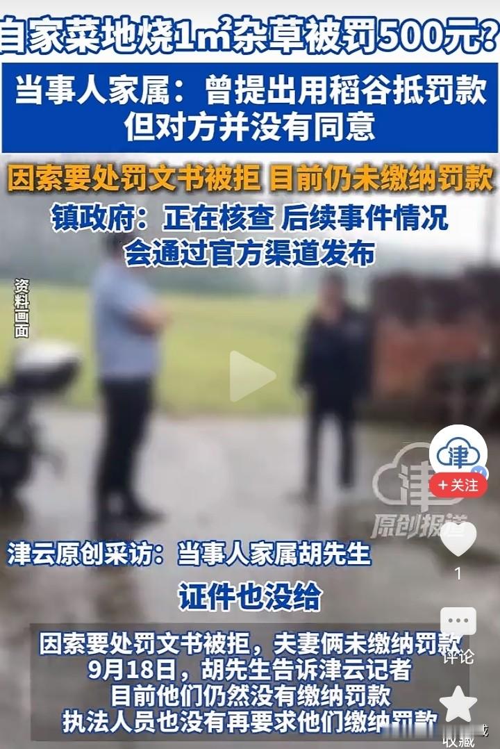 但是按照新的生态环境法典来执行，烧杂草确实不应该，违法了，被处罚没问题，罚款五百值得商榷。

农民一个月才挣几个钱，再说了贺女士身体有病，自己种点菜吃而已，又是第一次干