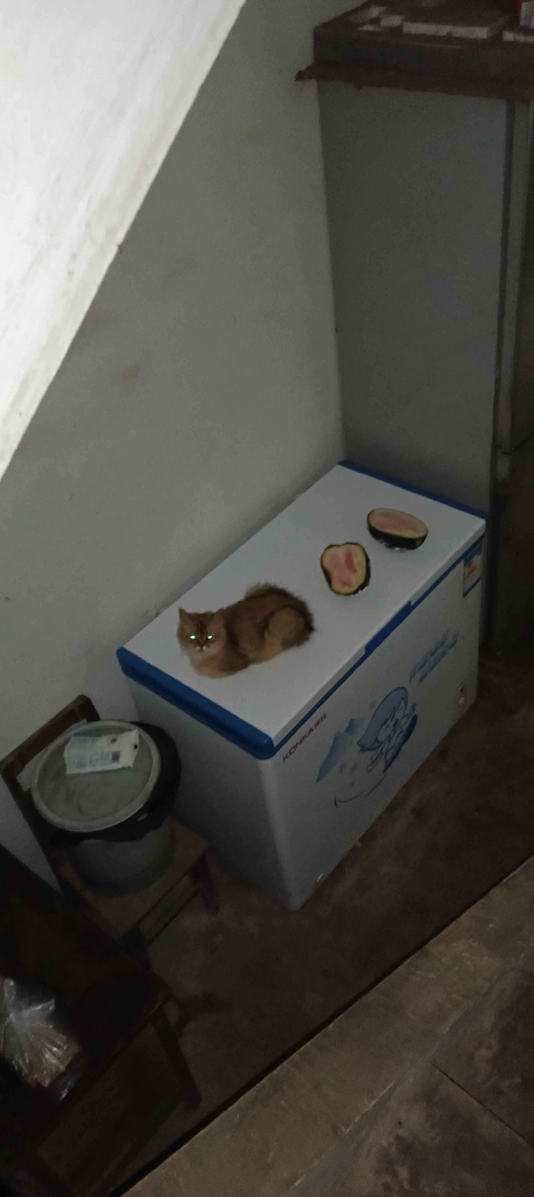 金鹰奖颁奖典礼