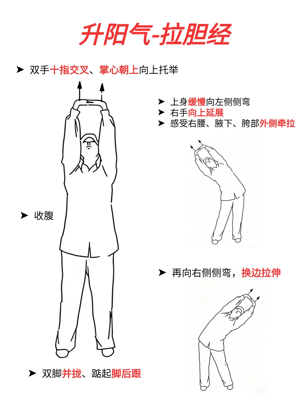 🔥阳气不足拉胆经，真的太牛了……