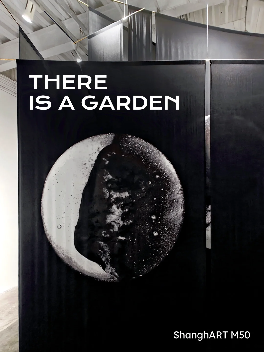 搁置日常经验，步入这片“感知花园”