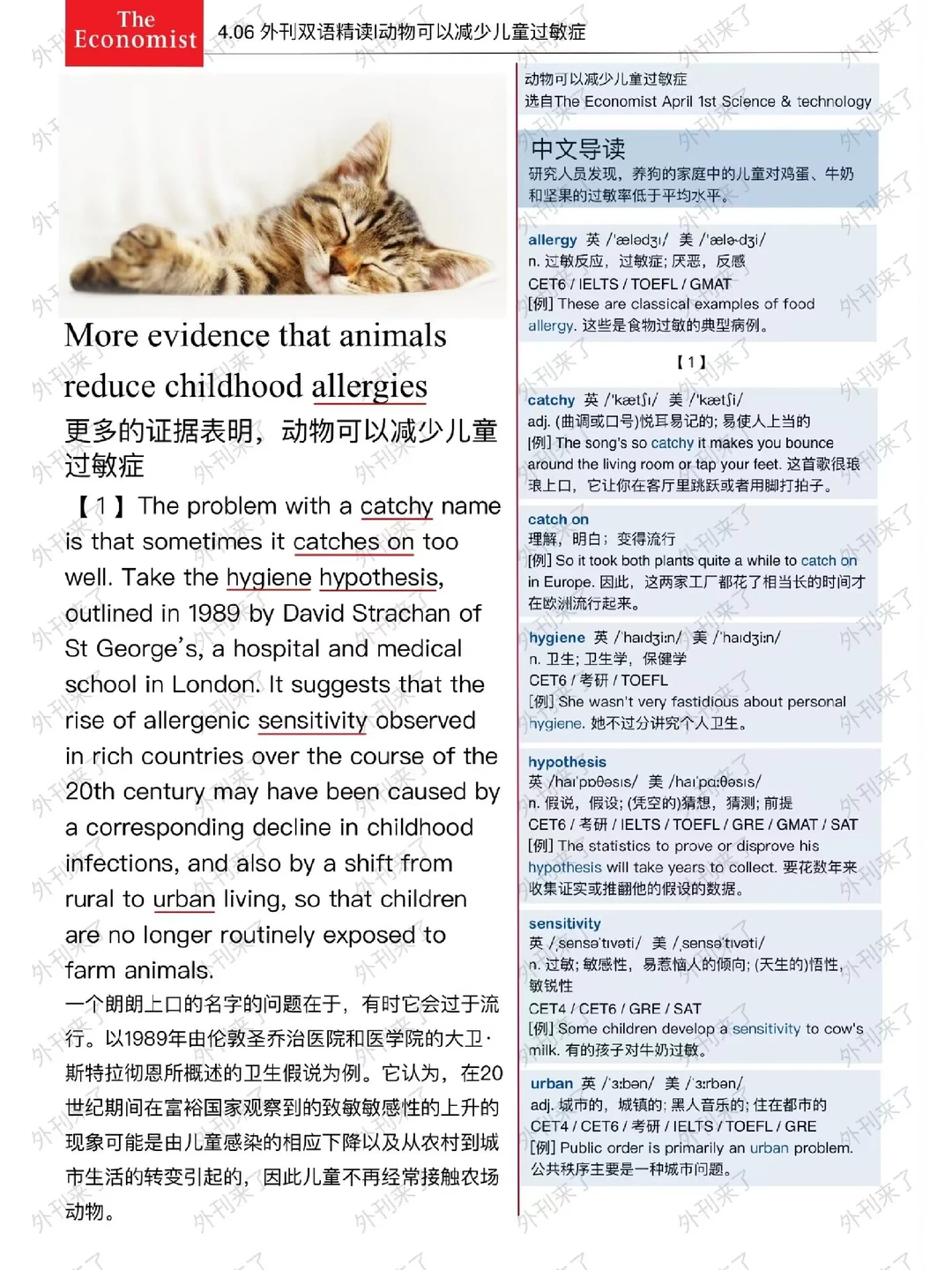 外刊双语精读91｜养宠物居然有这个好处🥰