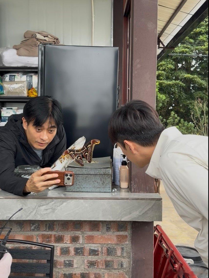 #胡歌陈龙抱着必出神图的决心# 本来大家关注点都在大蛾身上，结果胡歌陈龙举手机认真拍摄的模样格外吸睛，趣味满满的片段，只能等待正片解锁更多细节。 ​