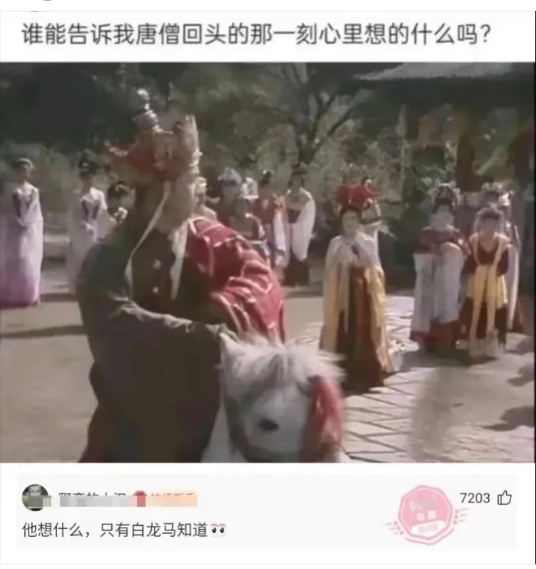 搞笑瞬间。搞笑