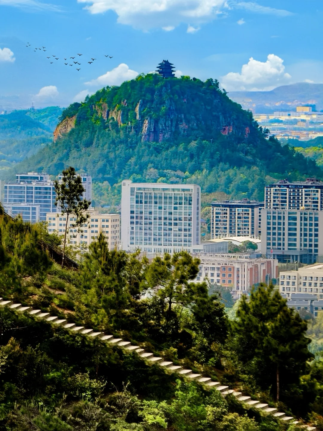 比起黄山❗️我更爱这个滑着下山的宝藏仙山🥹