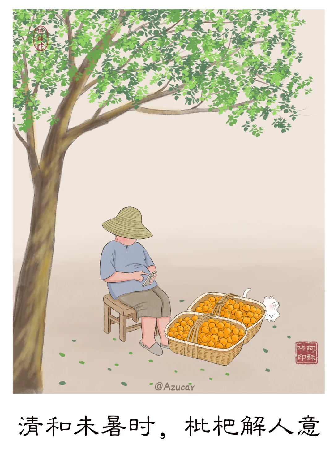 人间入浅夏，枇杷挂枝头