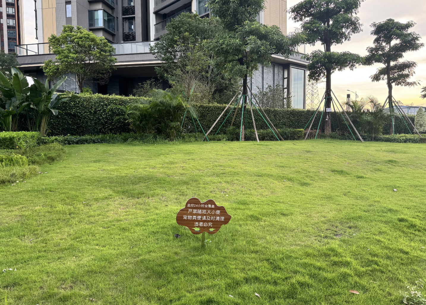 “一天至少十几个人在草坪上便溺，白天晚上都有！”日前，有市民向“部门请...