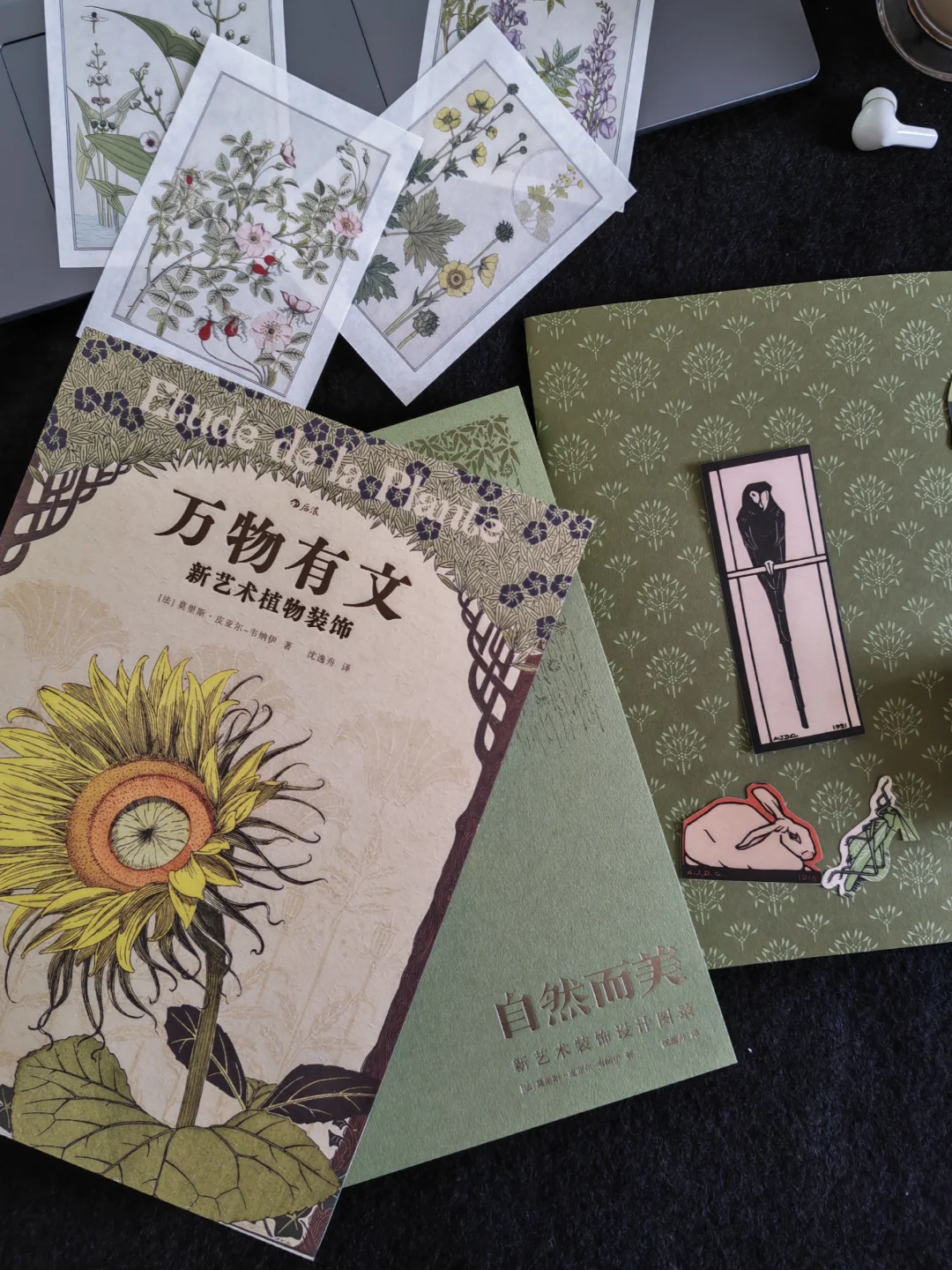 被百年前的植物美学治愈了！