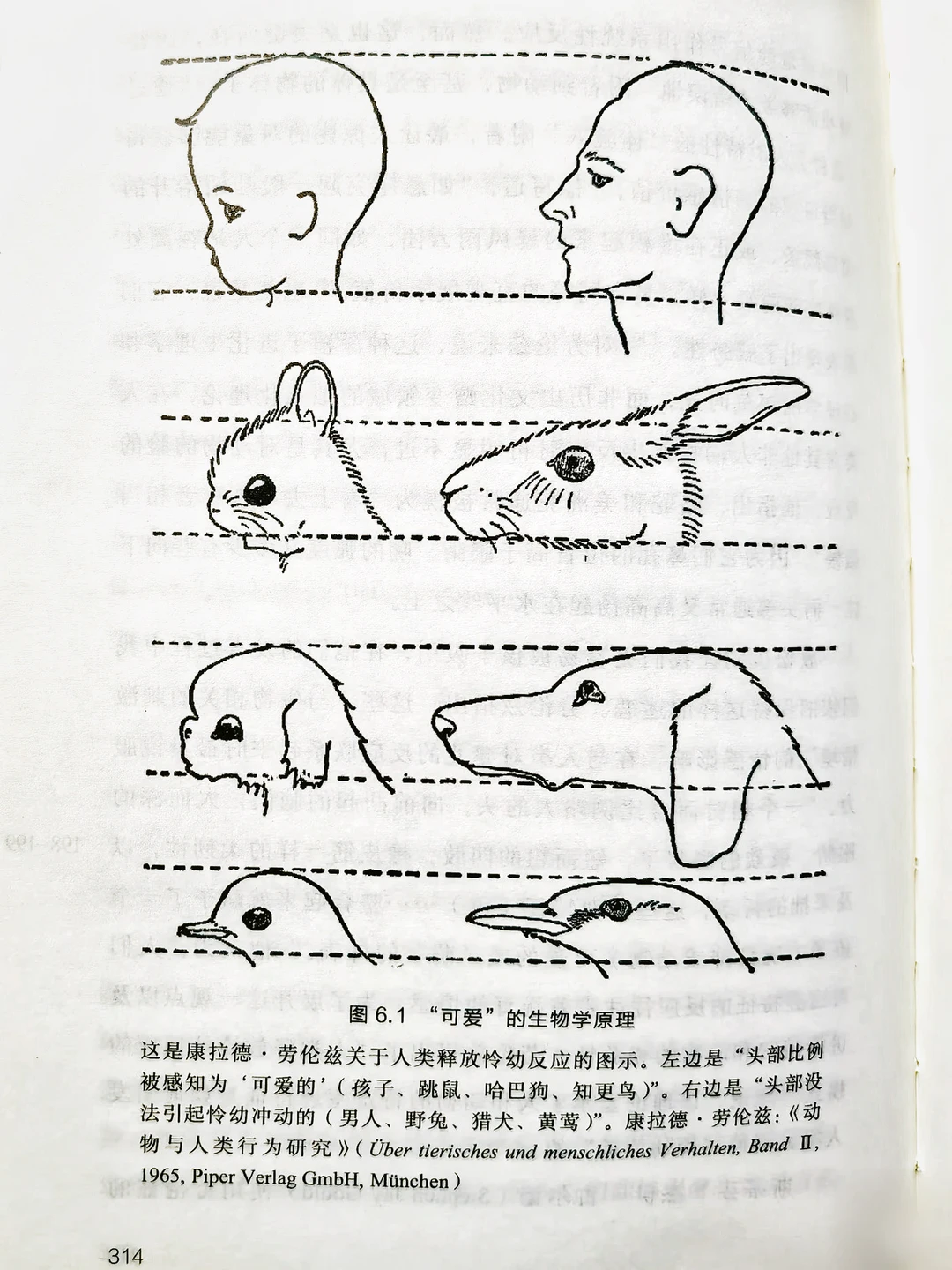 成长的过程中→逐渐车座化的生物原理！😂