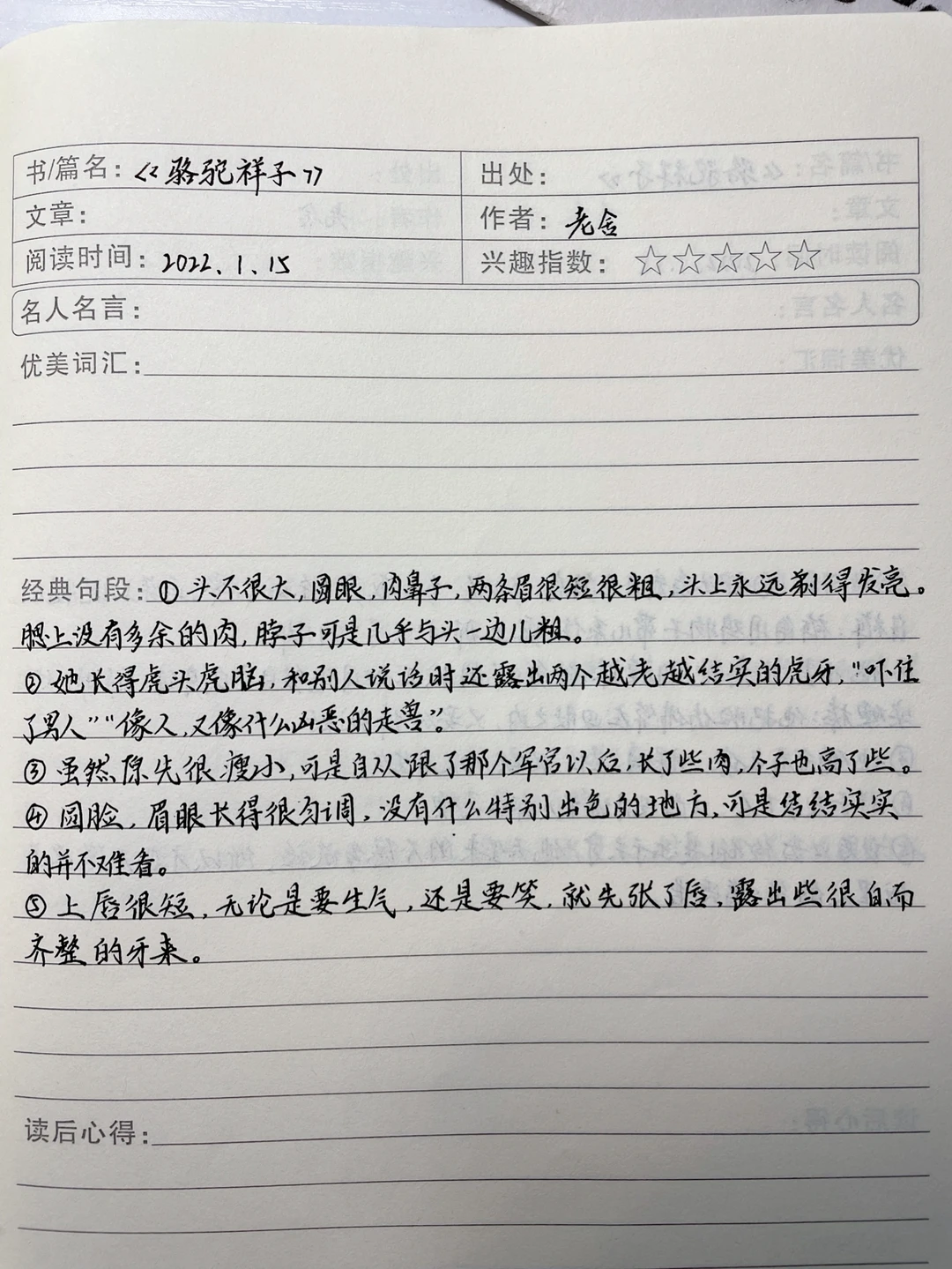 骆驼祥子，寒假读书笔记