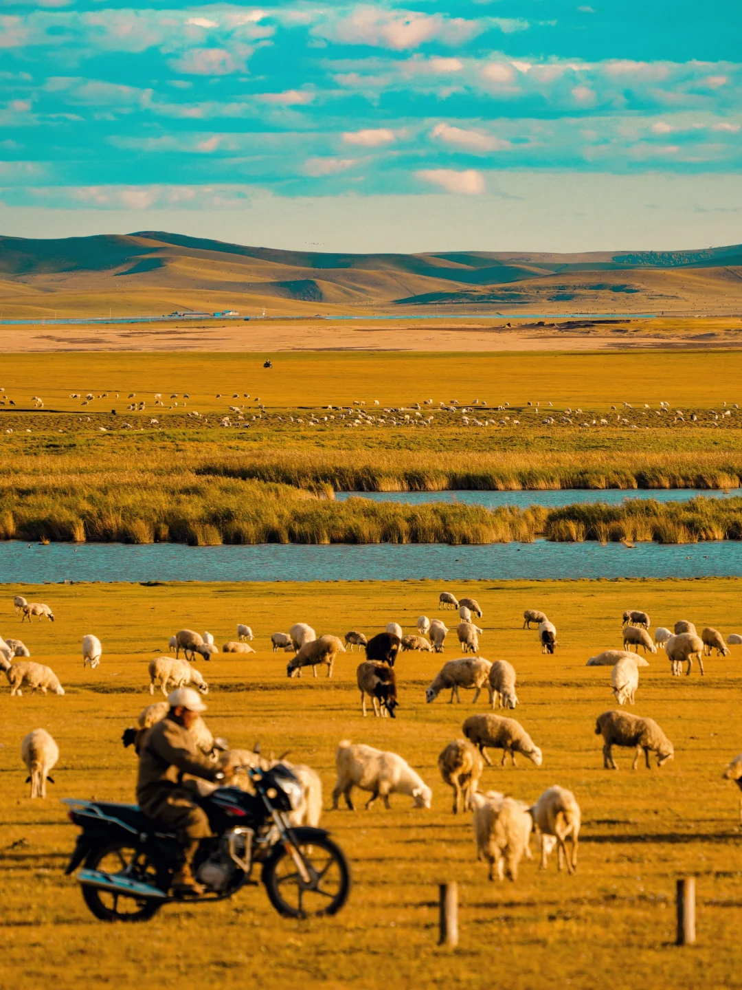 幸好没有错过🍂呼伦贝尔的金色秋天