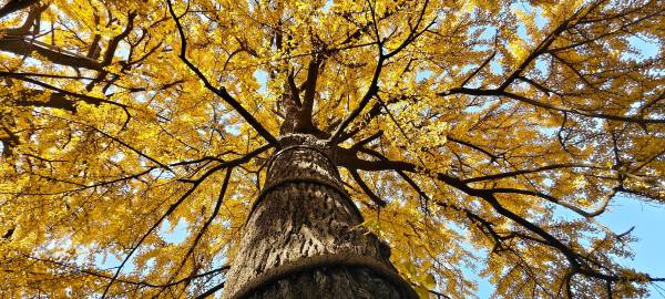 我真的是笑了，你要是觉得你之前的下属好，直接带过来啊？天天说那个人好...