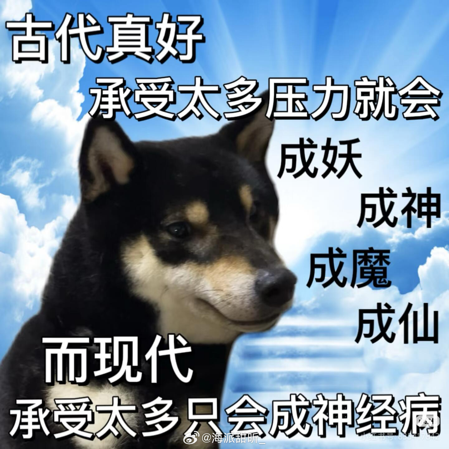 “她小时候也很丑长大了不也好好的”我当时备受打击我非常不理解为什么要通...