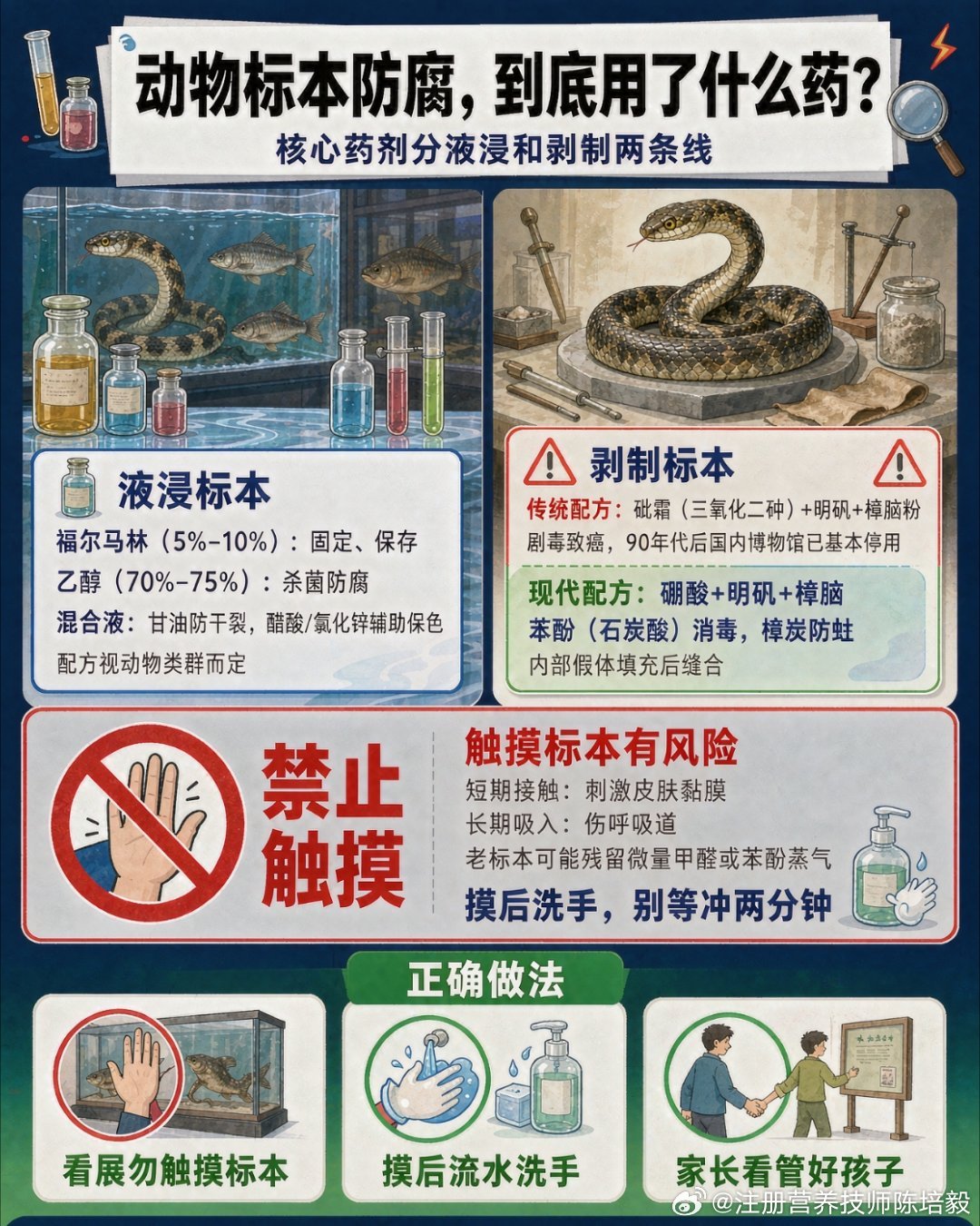 动物标本防腐，到底用了什么药？  博物馆里那些蛇、鱼、小型兽类标本之所...