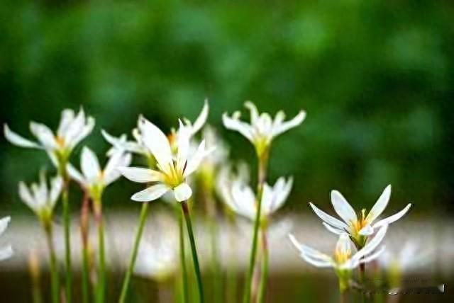 80岁老夫妻的“长寿秘诀”，不是人参鹿茸，而是每天一个拥抱！