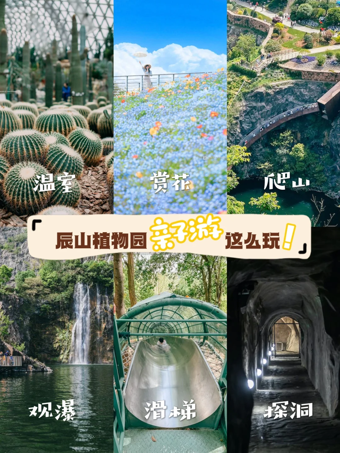 上海遛娃｜一篇看懂辰山植物园究竟怎么玩