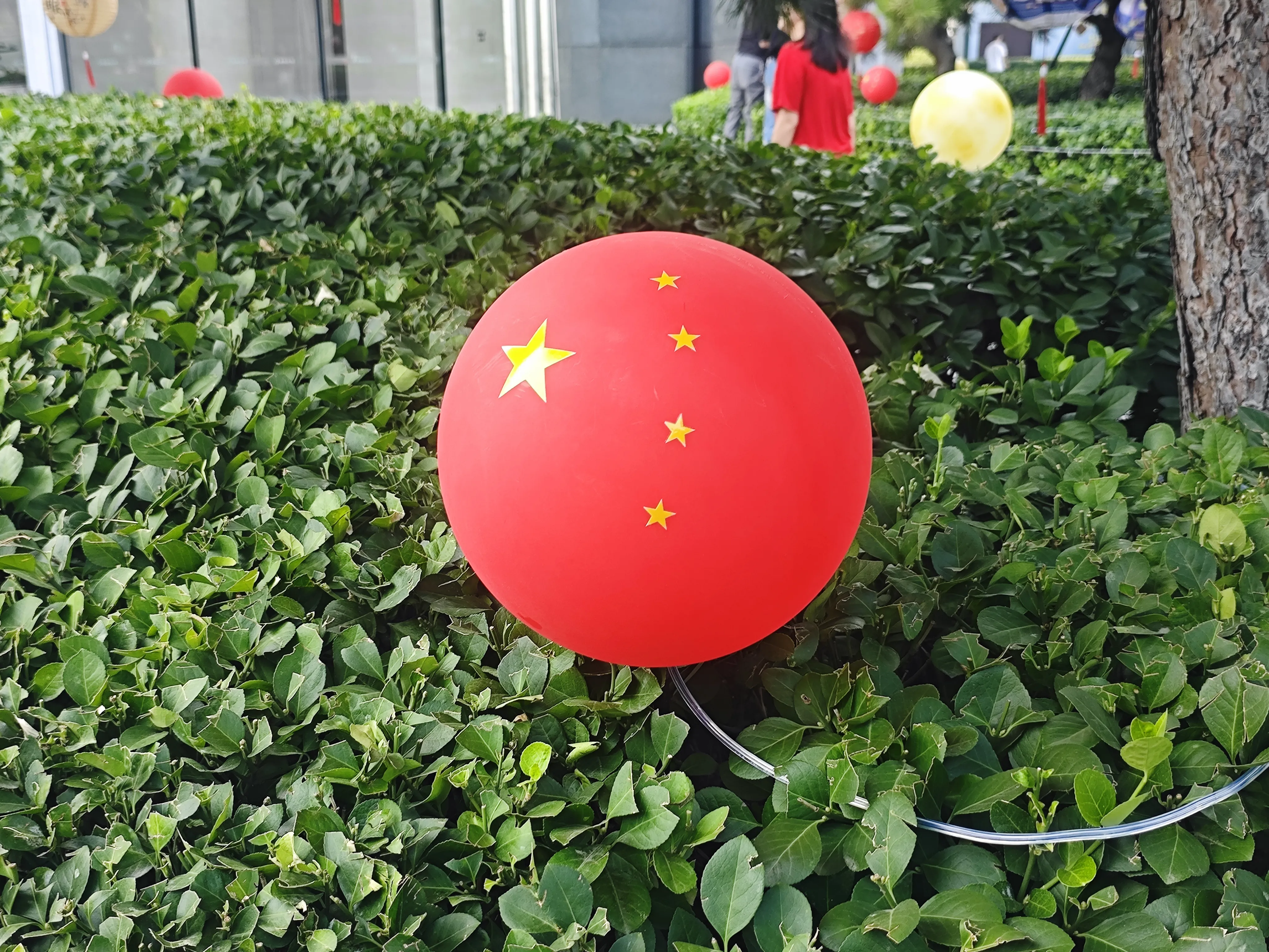 为什么大多数中国人不喜欢泽连斯基 其实很多人对泽连斯基的反感，根本不是单纯站队立场，是一堆现实观感堆出来的。
当初他带着“反腐清官”的人设高票上台，结果打了两年仗，前线士兵在冰天雪地里啃硬面包，后方国防部敢用三倍市价采购军需粮，征兵办官员收几万块人民币就帮人逃兵役，核心圈亲信借着战时能源生意捞得盆满