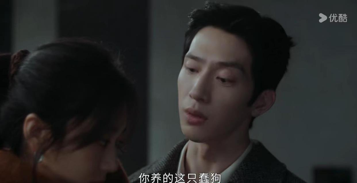 你见过哪个女生，敢把自家新捡回来的萨摩耶，直接取名叫上司的英文名？ 尚之桃就这么干了。 她把这团软乎乎的白色毛球带回家，张口就喊“卢克”，好巧不巧，这正好是栾念在外头用的专属英文名。 高冷广告总监那张脸，瞬间就黑得跟锅底似的，醋意直接从屏幕里飘出来，拦都拦不住。

栾念憋了半天，忍不 ​