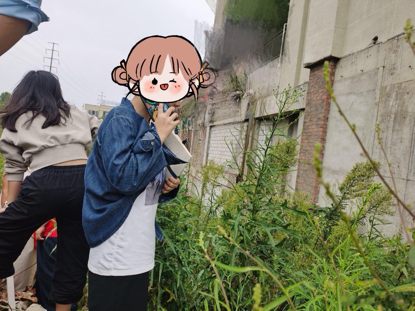 记录和partner绑定的13个小时：早上7点一块开始“站岗”，晚上8点多还要贯彻到底地做同桌，结束无聊的会议[苦涩]

悲催的牛马是要一边开荒一边接上级电话的
（my partner可能想找个角落接，很可惜 前面没路后面堵车[赢牛奶]） ​