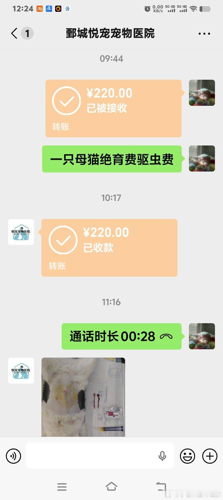 [心][心][心][鲜花][鲜花][鲜花]

       昨天半夜2点多在我家大门口放置的诱捕笼抓到了一只黑白狸花猫母猫，它的肚子微微鼓着，我怀疑怀孕了。它最近不吃猫粮了，一天到晚朝我要鸡胸肉大口大口的吃，我怀疑它有口炎了。

       今天上午8点半出发我带着这只猫猫去县城宠物医院去做绝育手术了。手术后 ​