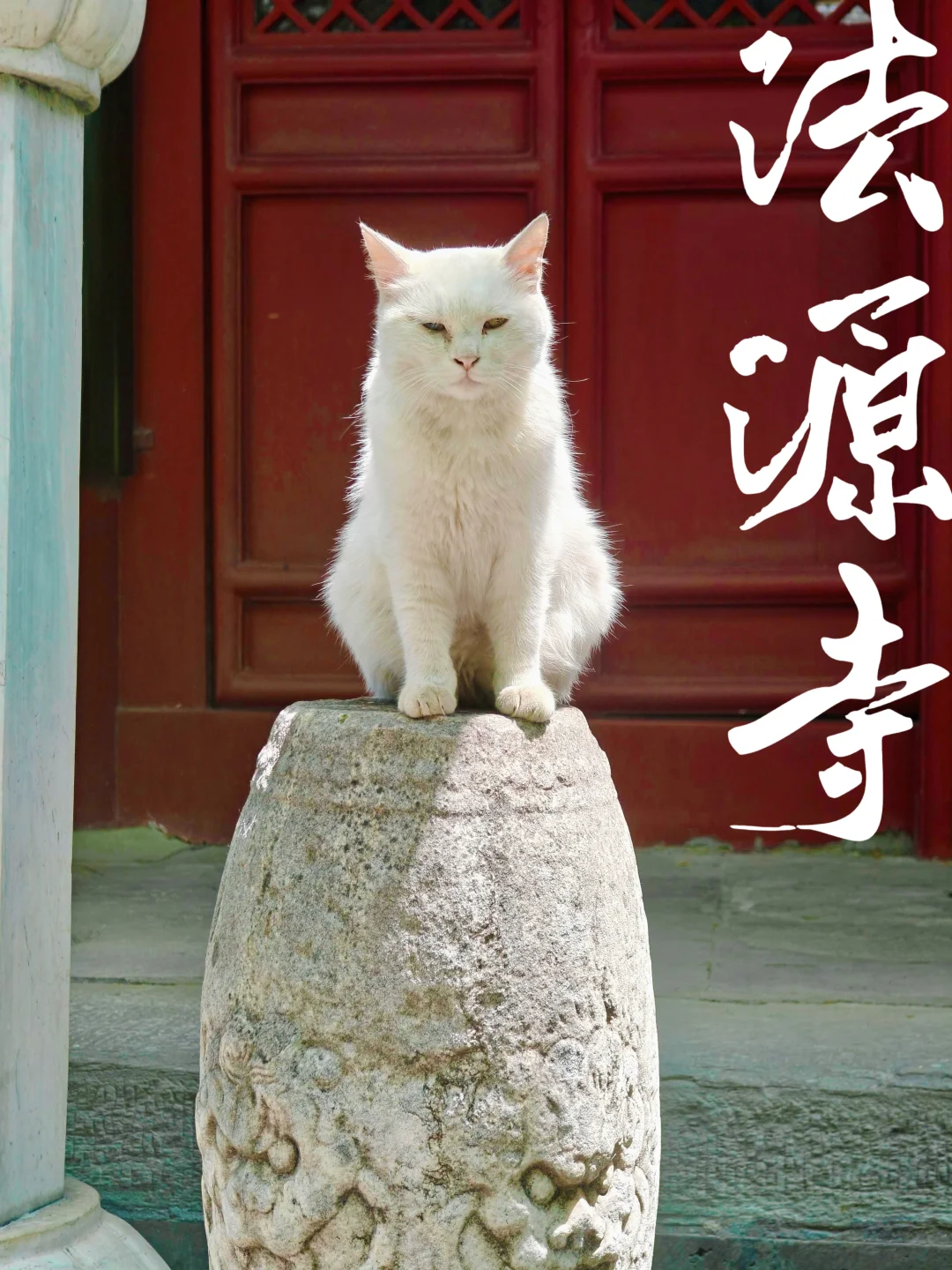 来法源寺一定记得带好🔭望远镜！