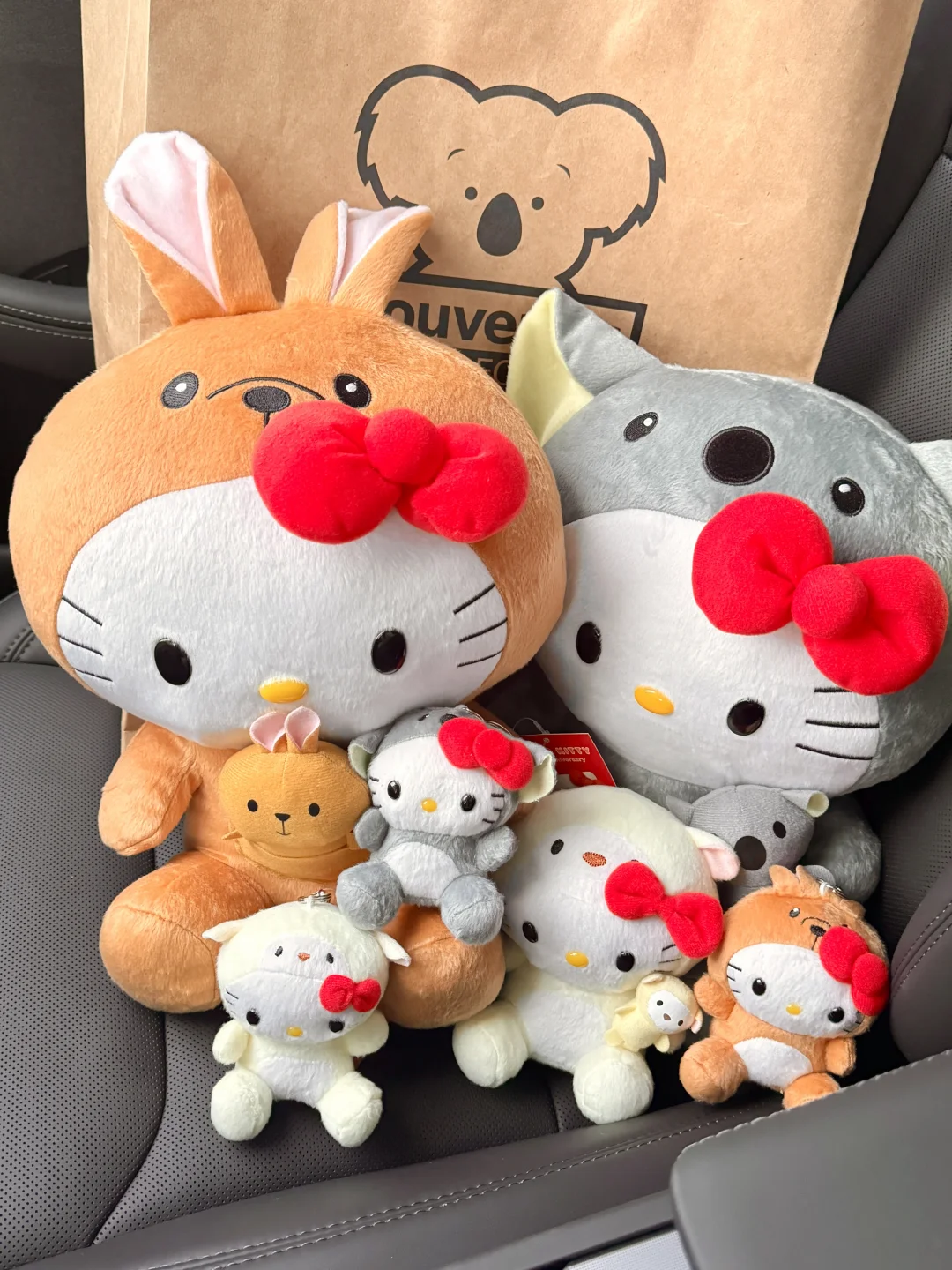 #kitty