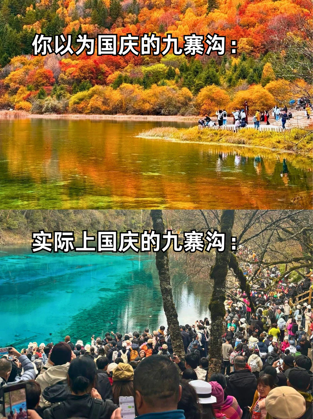 国庆去九寨沟听劝‼️ 人从众模式血泪避坑