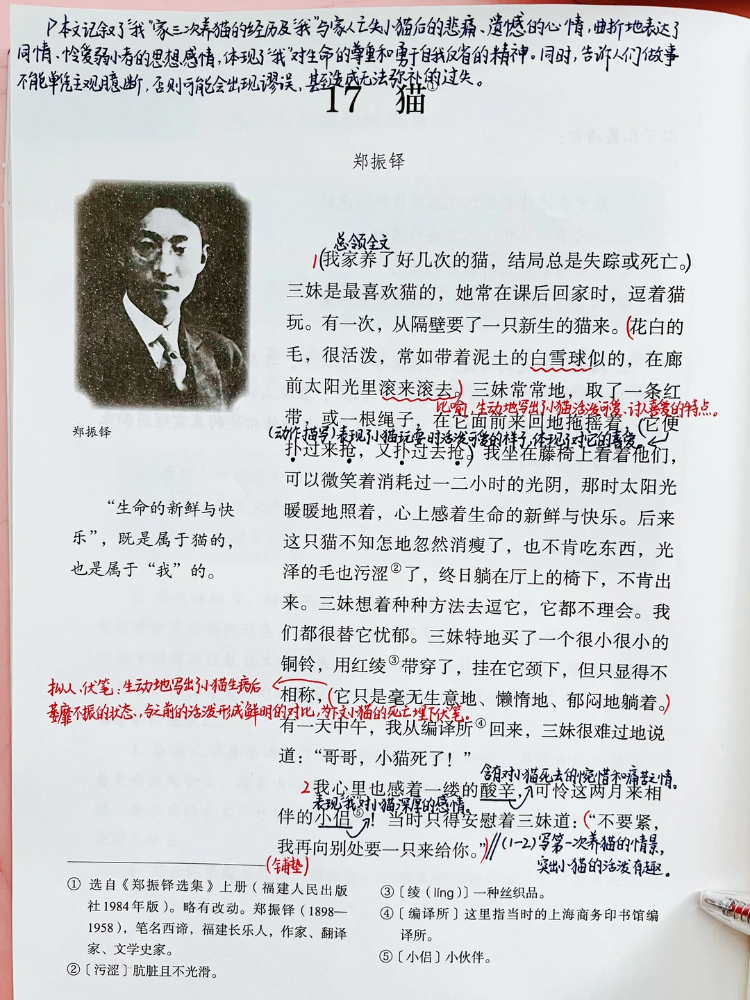七年级上册语文｜17.《猫》课堂笔记 预习笔记