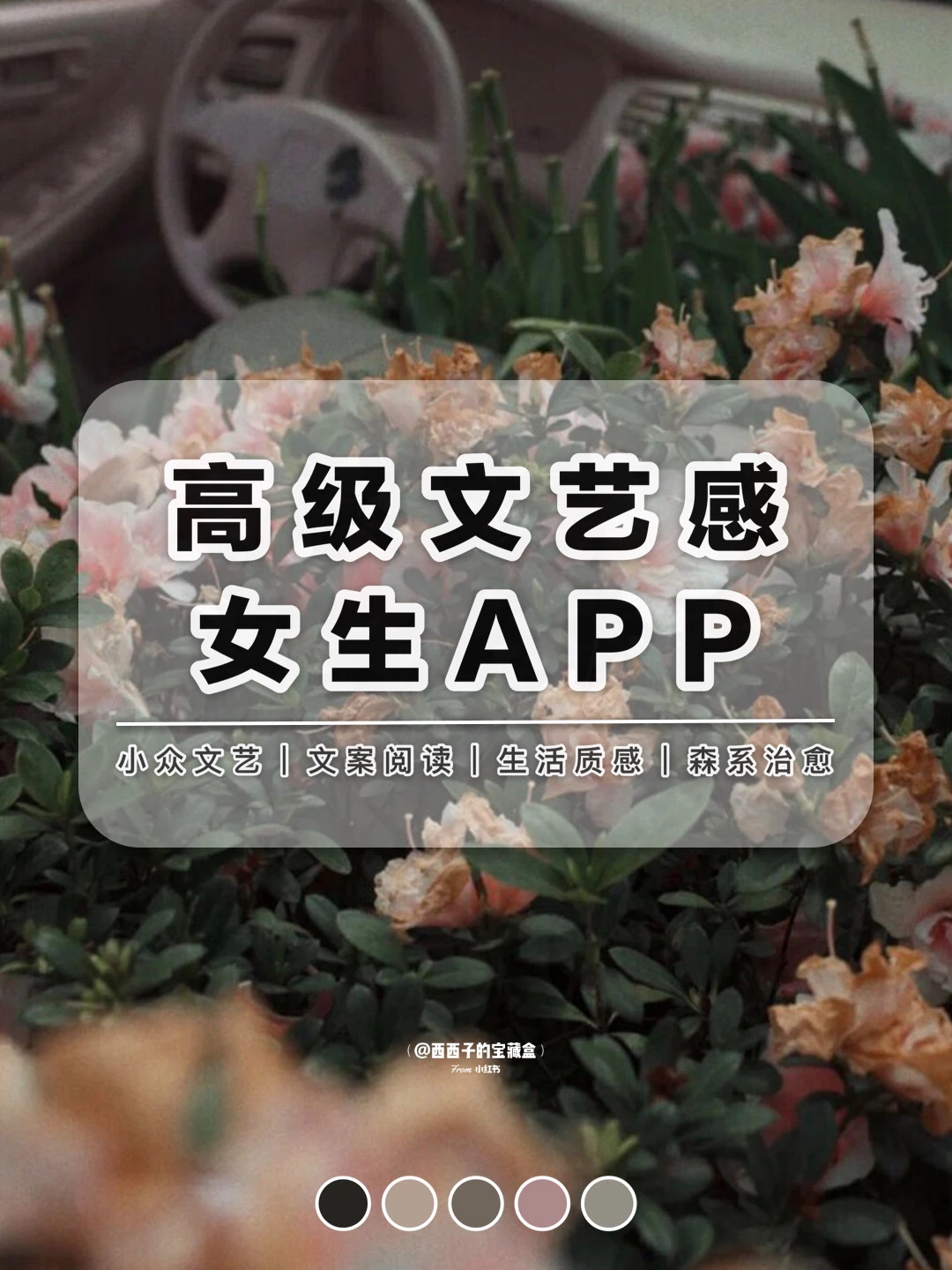 高级文艺女生APP丨每一款都精挑细选