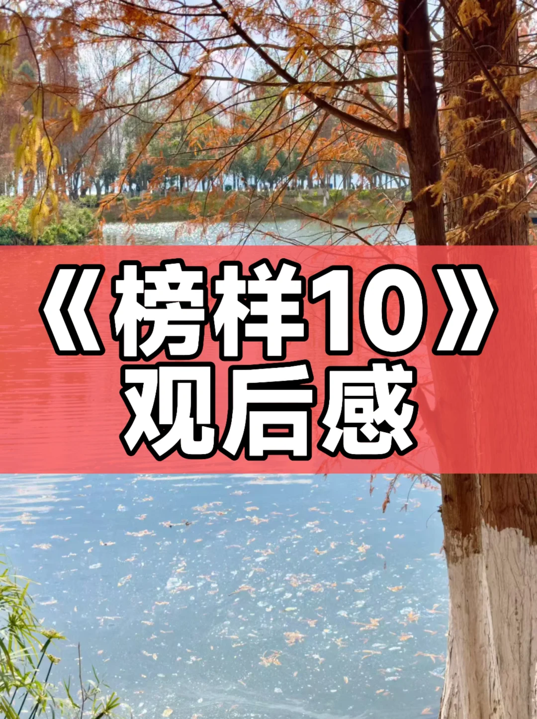《榜样10》观后感