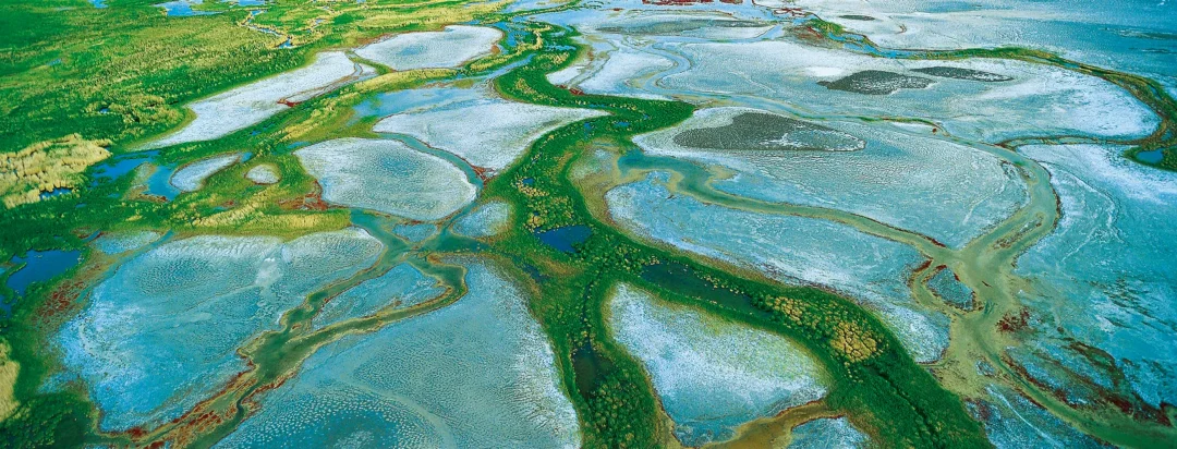 【地理知识】盐沼地貌