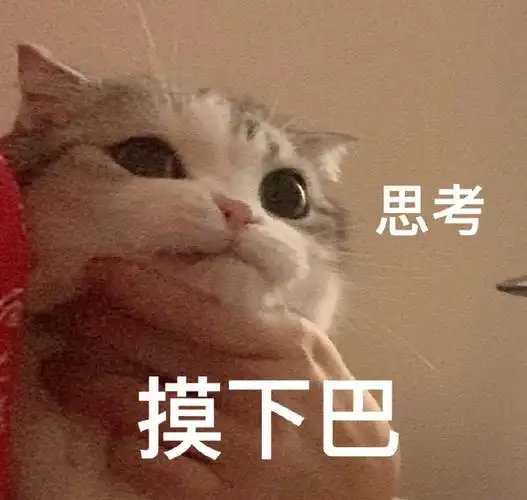 这个荣耀卡点1005打卡了小赞赞的快乐老家重庆，还特意换了magic9 pro max，这是什么意思呢，好难猜哦[yeah] ​