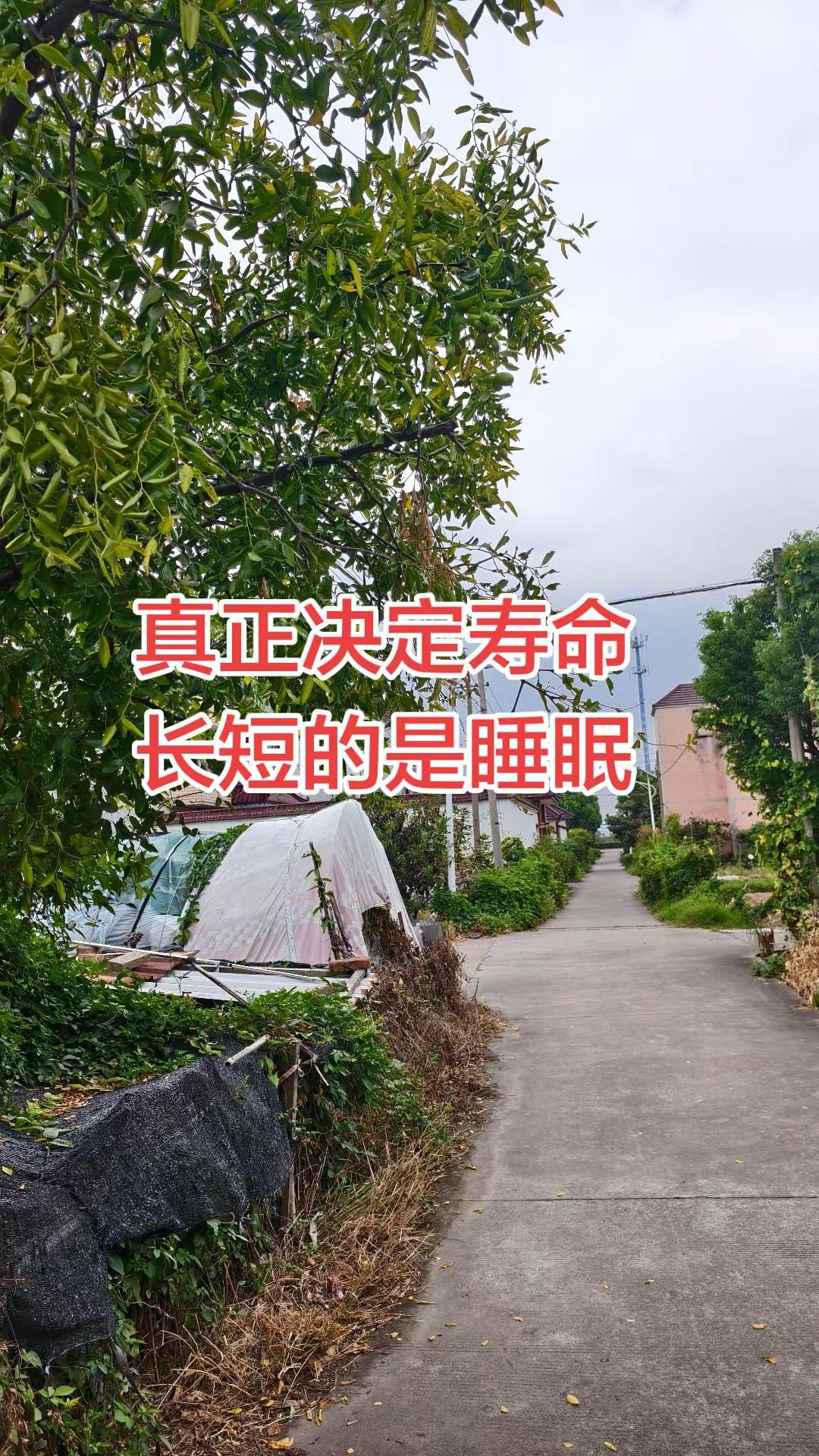 顶级安全球博弈名场面！丁俊晖鏖战凯伦威尔逊，几番做球、解球来回拉扯，最后一击极限绝杀，看得人屏住呼吸！丁俊晖名场面 凯伦威尔逊 英格兰公开赛 台球竞技