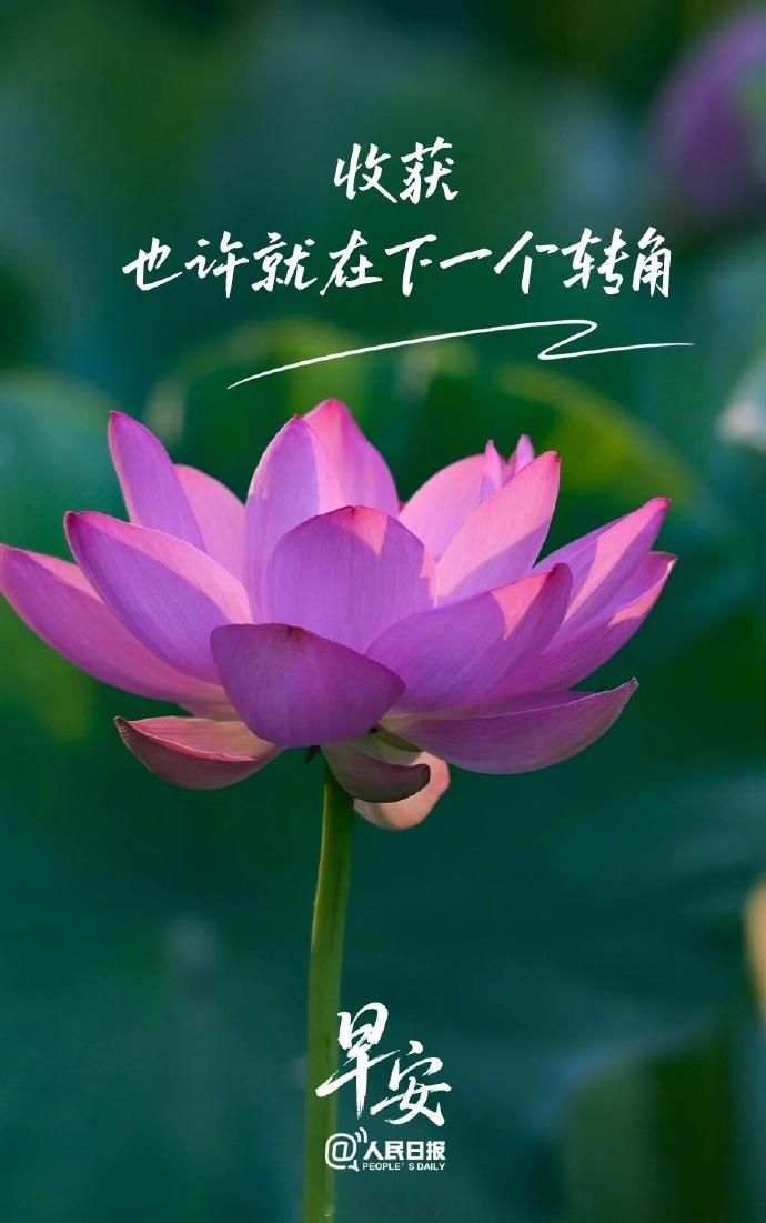 【。 （人民日报） ​​​