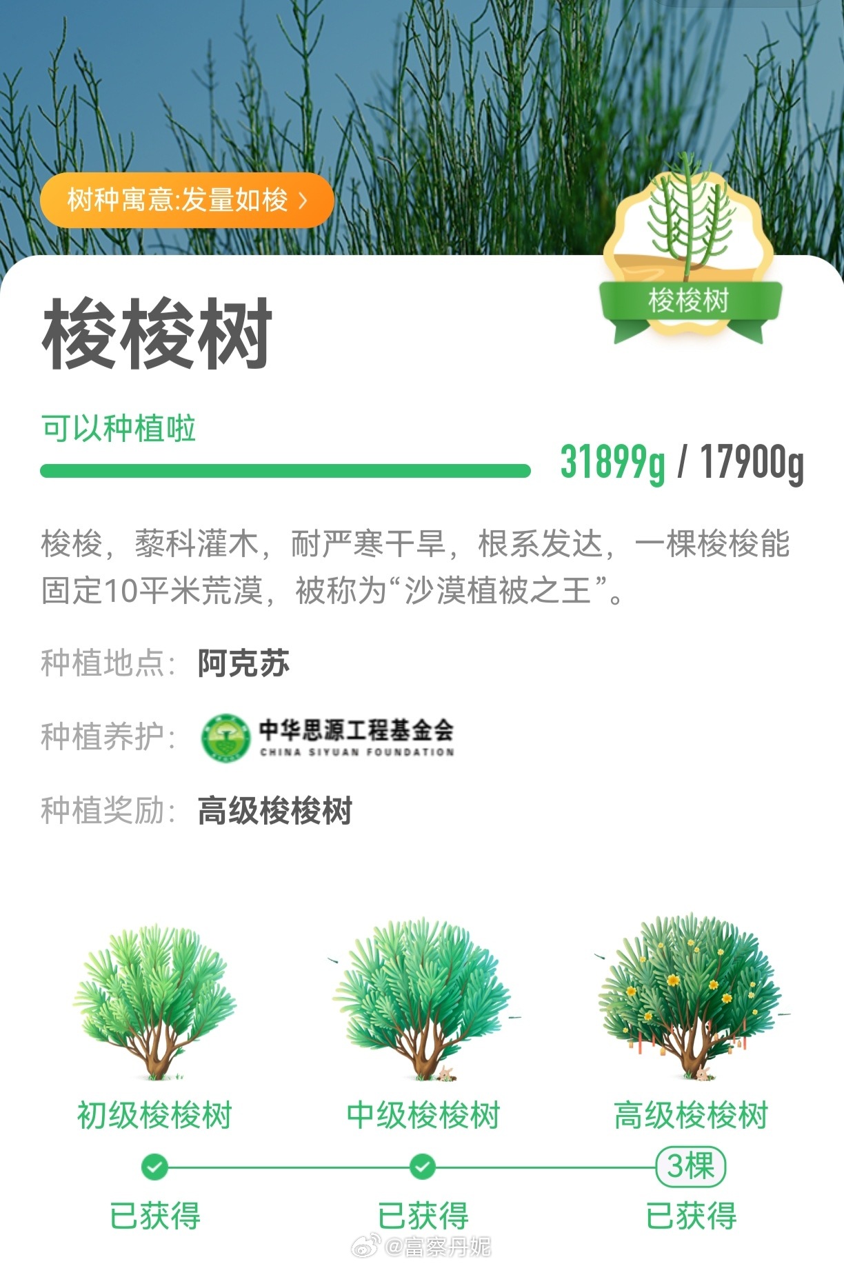 真实见证：十年树木，百年树人。不知不觉单品🌳已到高级🥇是十年如一日...