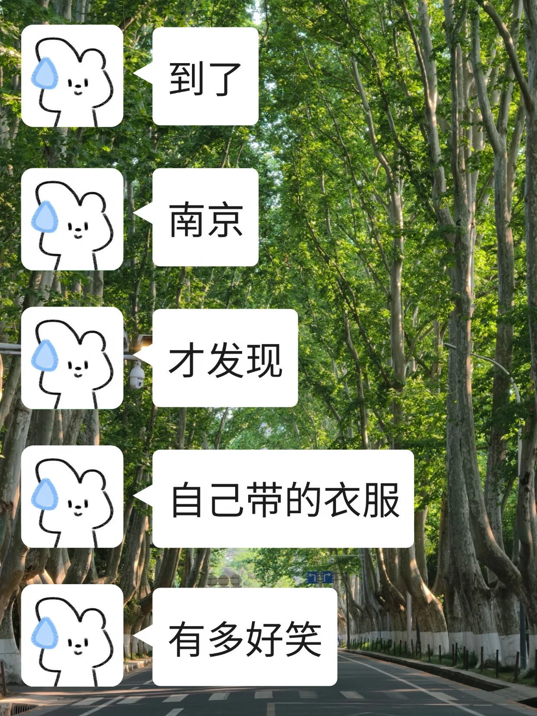暑假来南京，真的不要乱带东西了！！