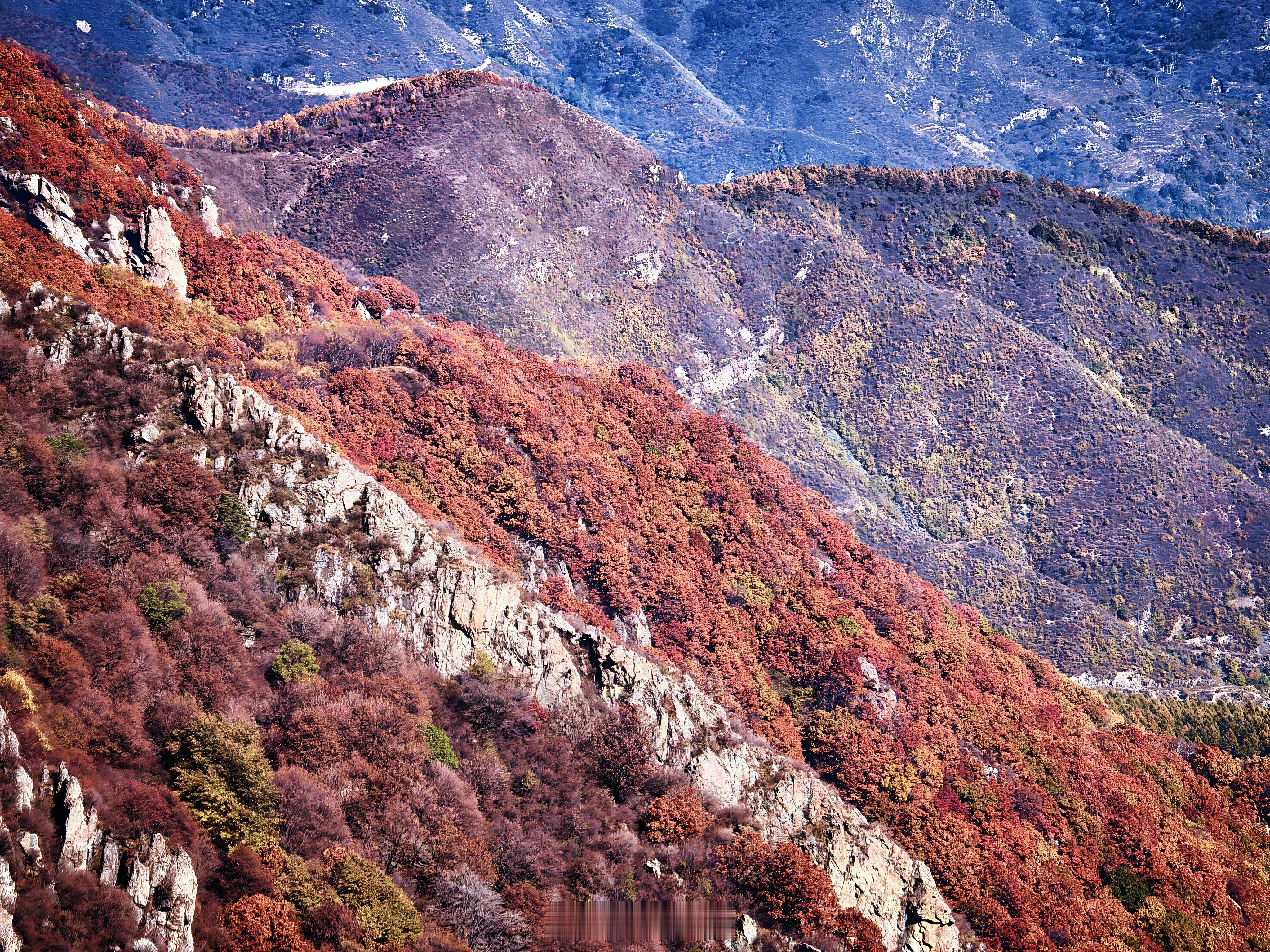 不愧是北京赏秋顶流:秋林铺-白草畔-百花山。选择困难，随便发几张吧。手机直出，无滤镜，实景比照片好看多了。北京每周一山