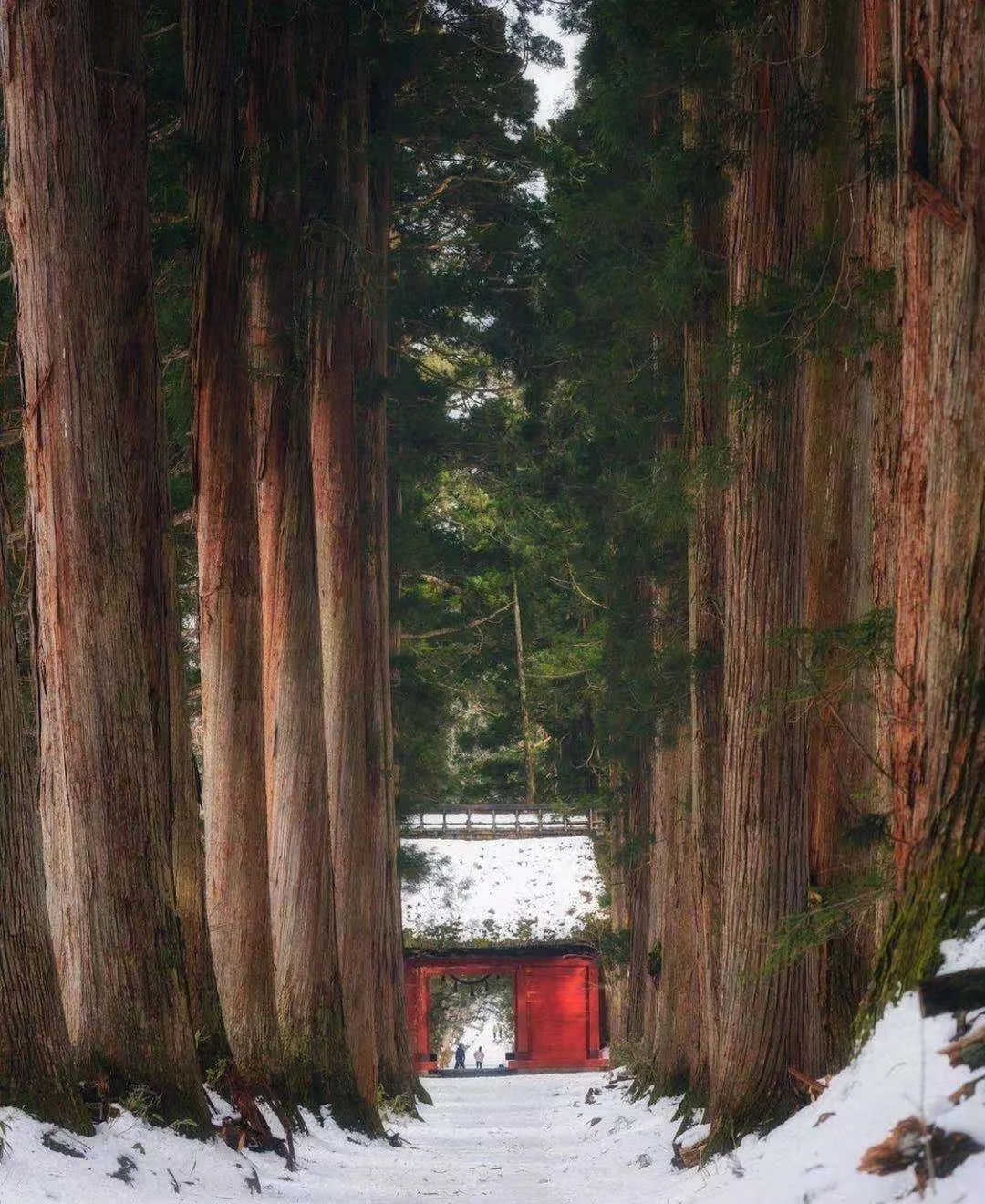 日本长野县|一座山的传说世世代代的信仰