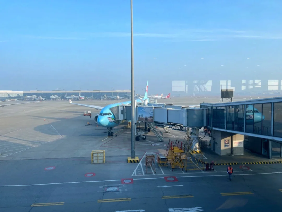 惊呆了，民航收费“刺客”！