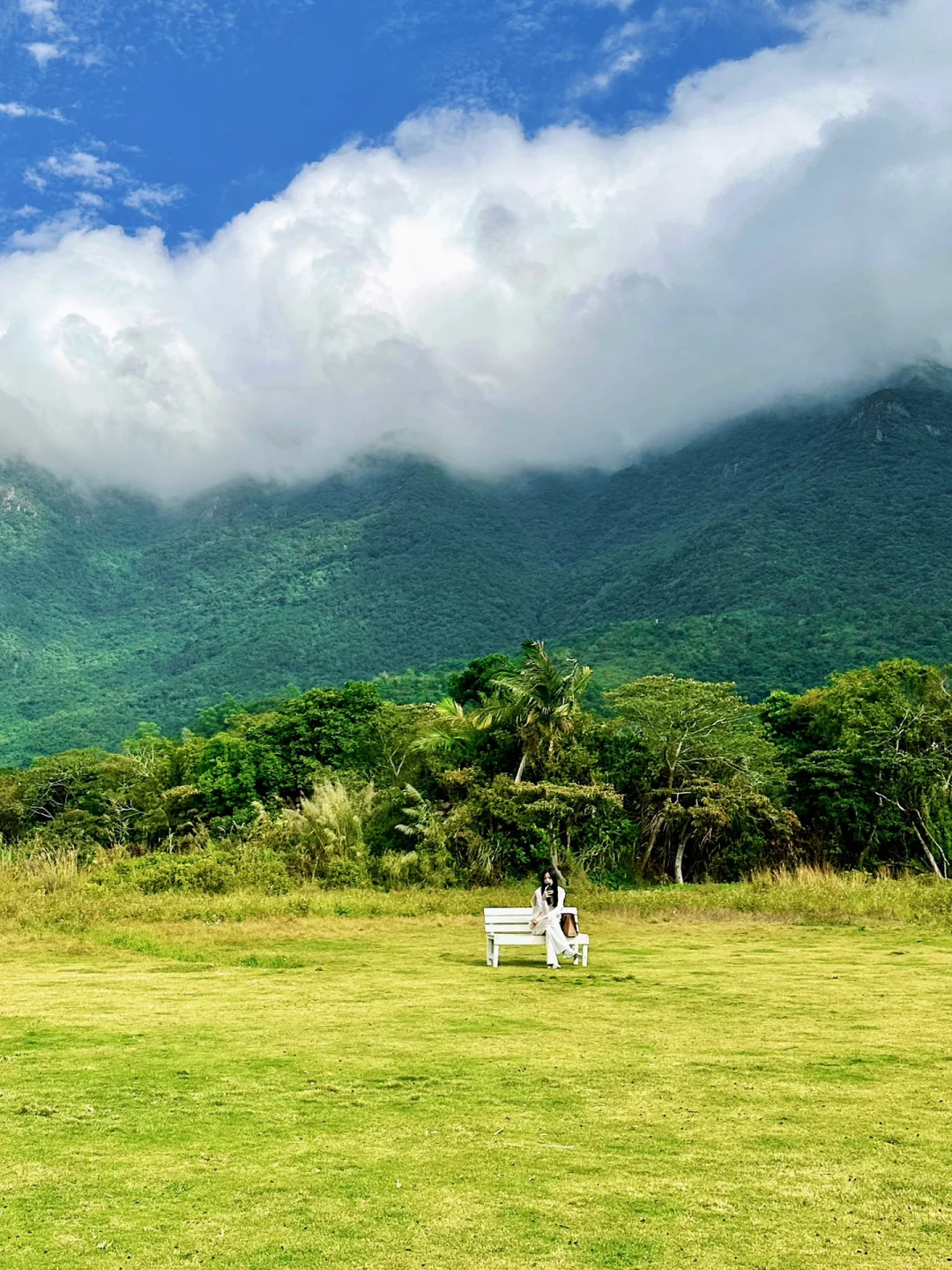 不出深圳旅游🍃我在七娘山下浪费时间