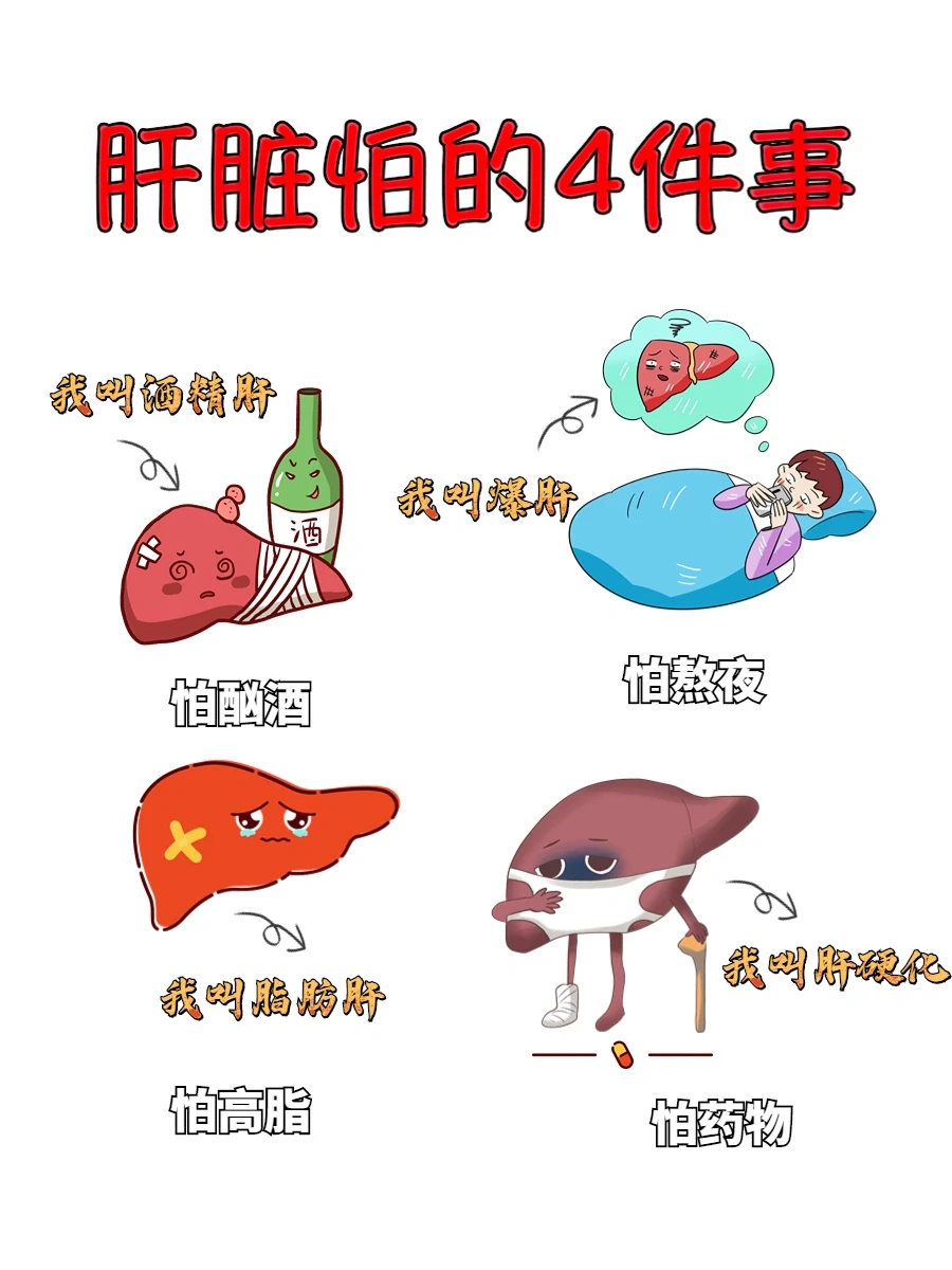 让肝坏的快一点❗️一定要多干这3件事