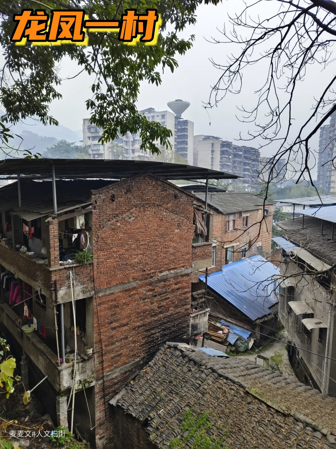 【北碚】一个容易被忽视的小镇龙凤一村