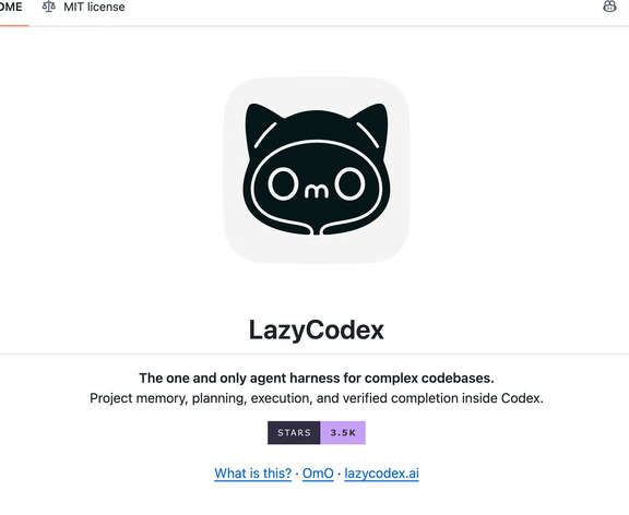 🤖🚀 Codex开挂了