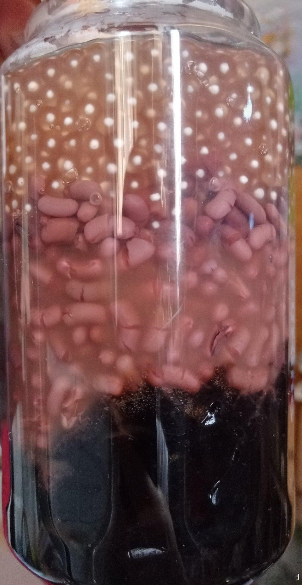今日份流水账日记  现在已经不是入睡困难了，是直接睡不着了，睁眼到天亮...