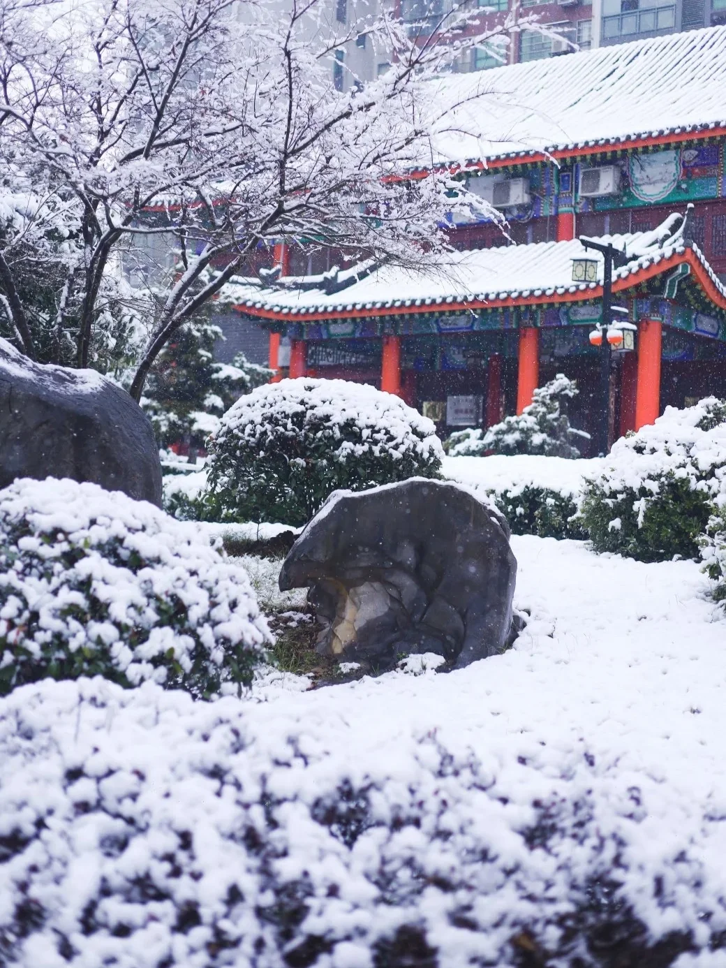 武汉绝美雪景🔥1秒穿越故宫，绝绝子❗️
