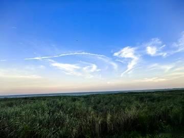 伟大的A股土著 坚定的相信科技兴国 我们的价值投资最长可以追溯到200...