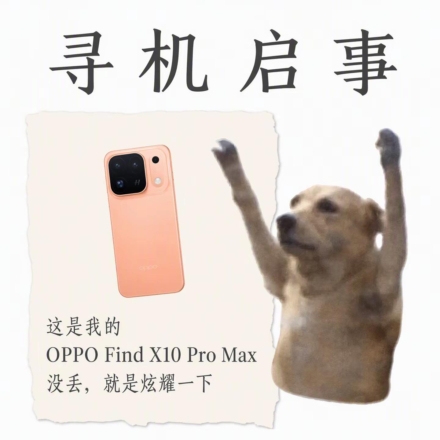 新换的OPPO新机影像表现远超预期。之前蹲这款新机蹲了好久，到手第一时间就试了全影像功能，最值得期待的哈苏超清原相机果然没让人失望。OPPO Find X10搭载了双2亿镜头群，OPPO Find X10 Pro Max更是行业唯一三2亿镜头群，还有独门人像调色盘，随手拍出来的效果都很自然，完全不用
