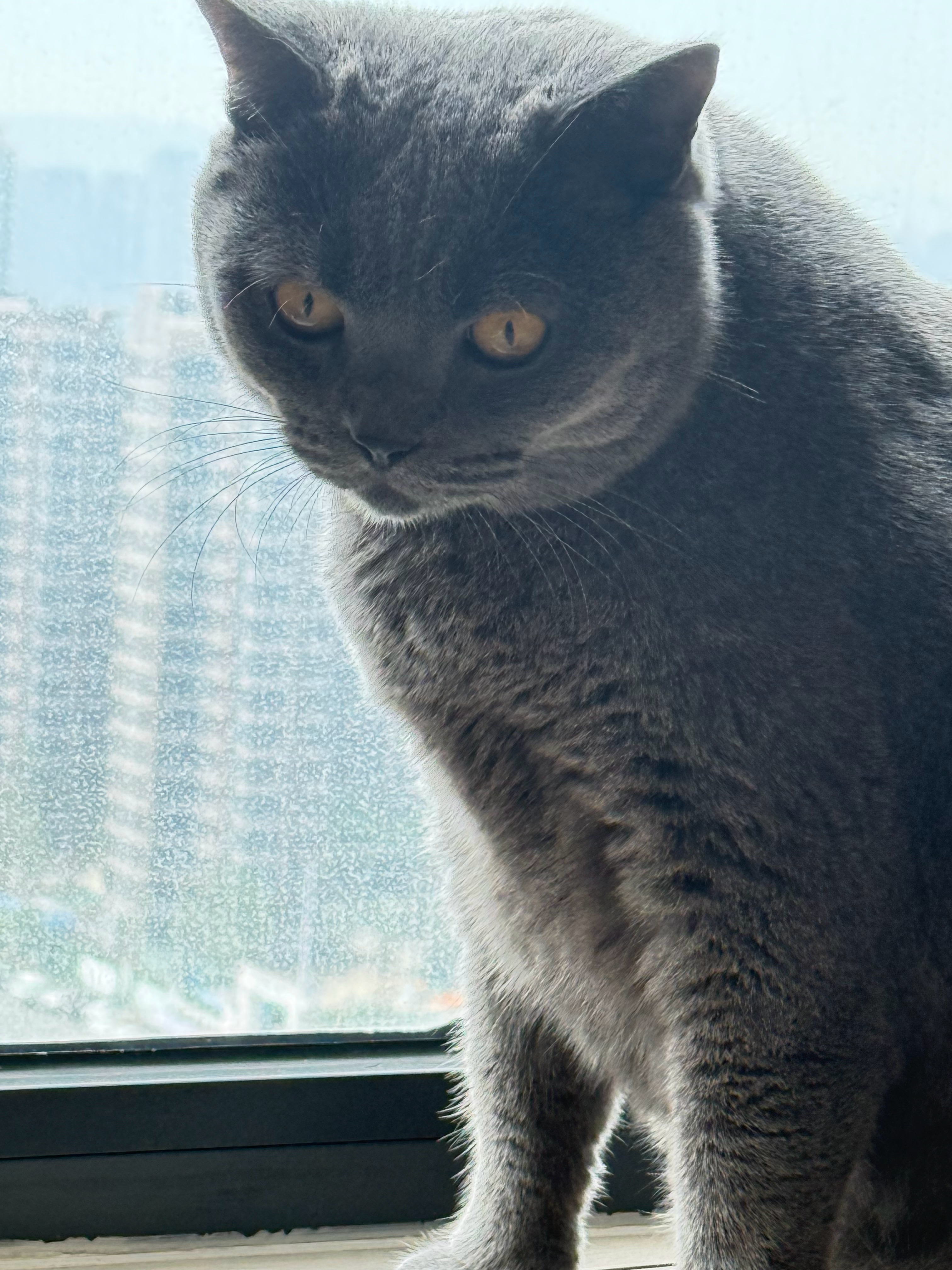 有梦想就去追，不管别人对你说什么。早安 ​​​