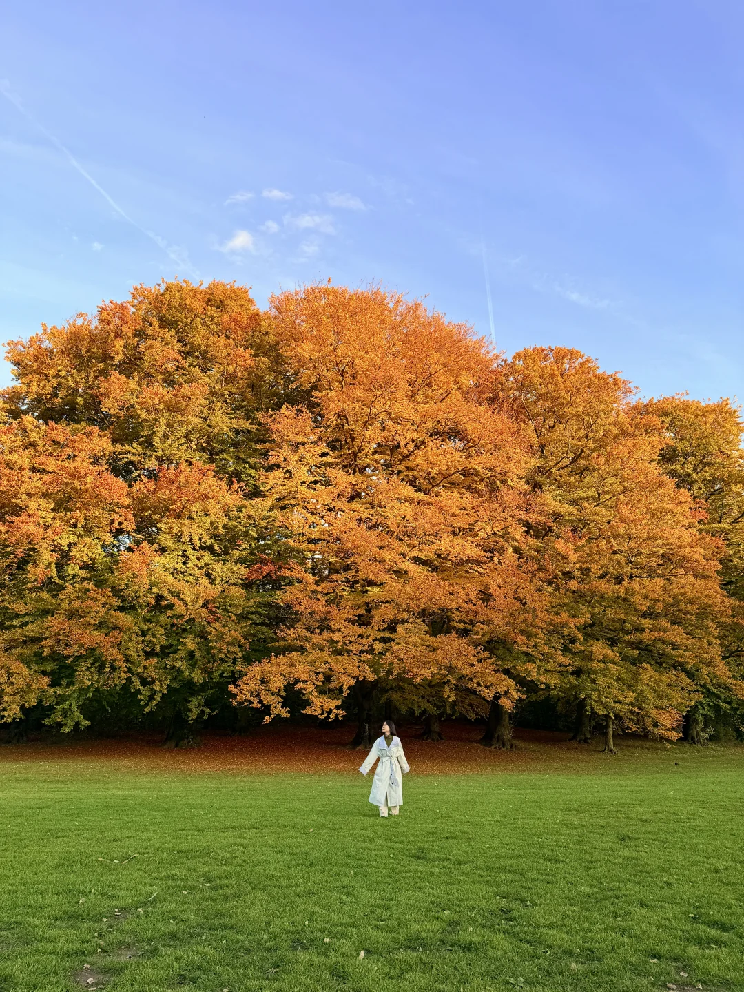 拍秋景一定要用17promax珠光调色盘附参数