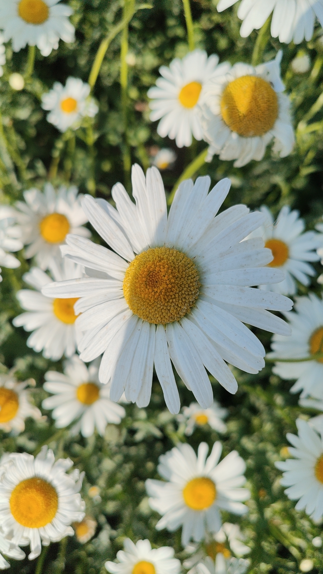 <p>分手后你会尝试追回前任吗 <!--{img:0}--></p><...