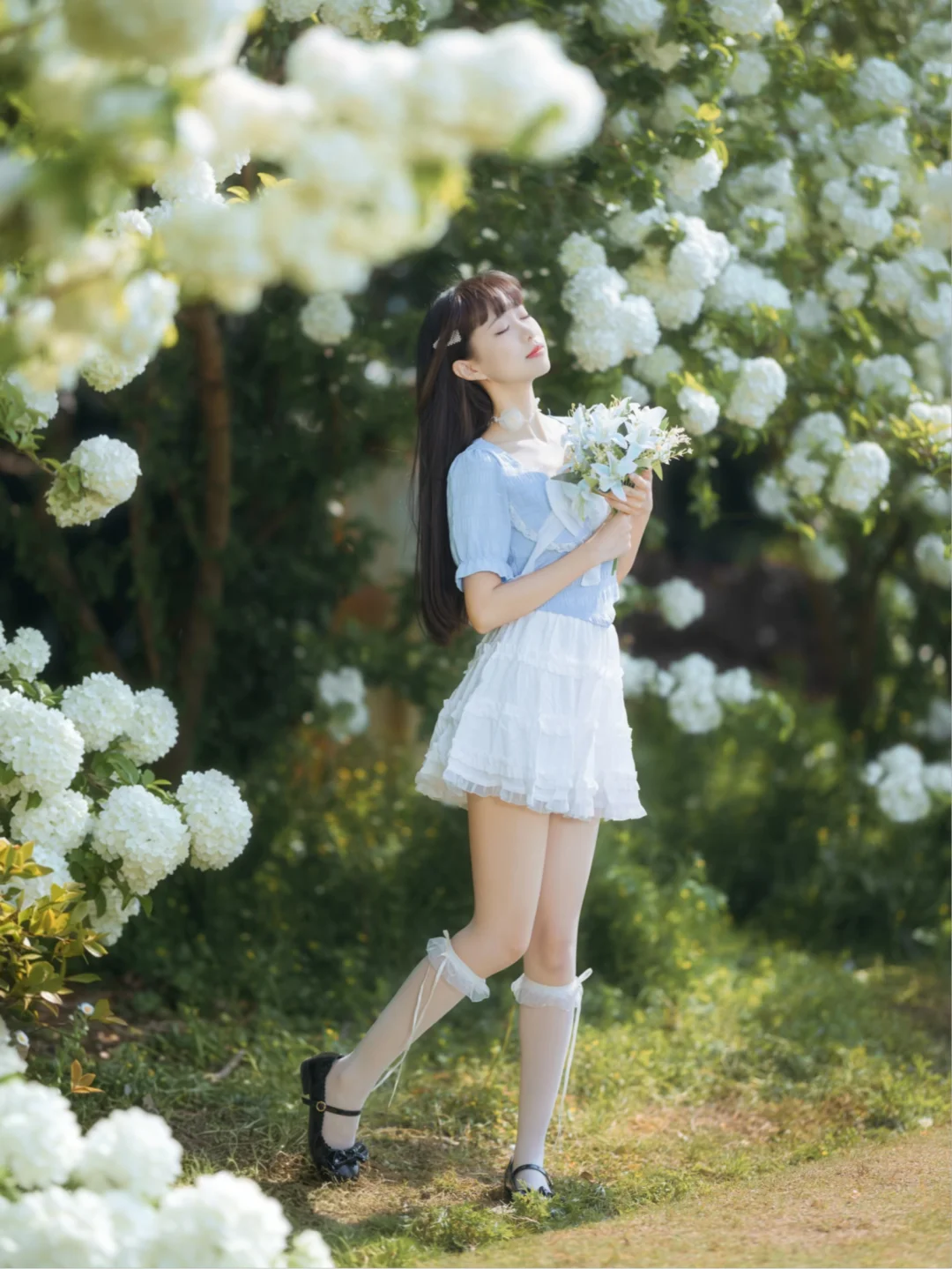 拥抱春天的木绣球✨